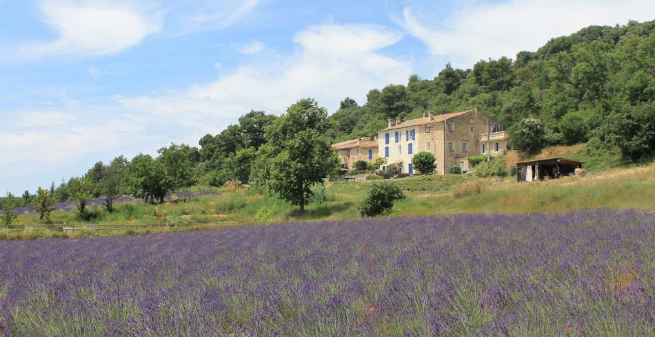 알레망엥프로방스 Domaine De Bertrandy B&B 외부 사진